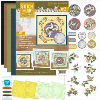Stitch & Do on color 21 Birds and Berries